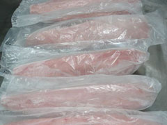 tuna loins frozen